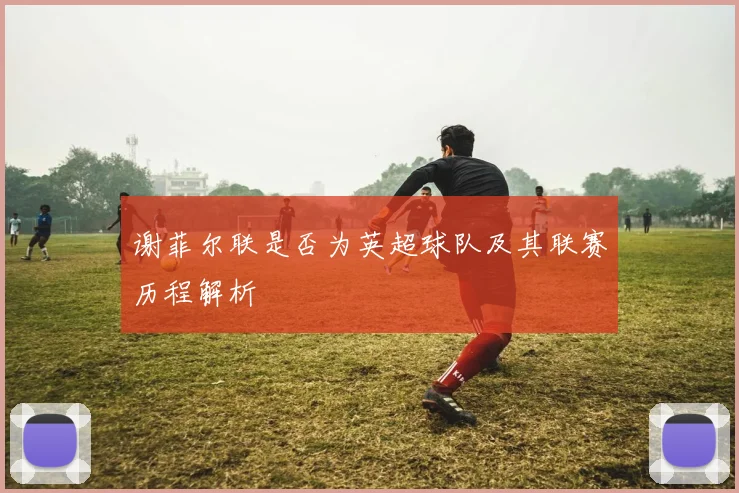 谢菲尔联是否为英超球队及其联赛历程解析