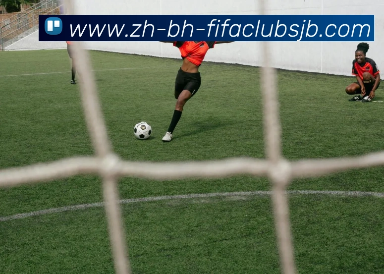 数据防护可视化